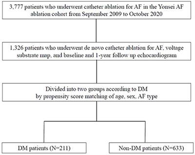 Diabetes Mellitus Is an Independent Risk Factor for a Stiff Left Atrial Physiology After Catheter Ablation for Atrial Fibrillation